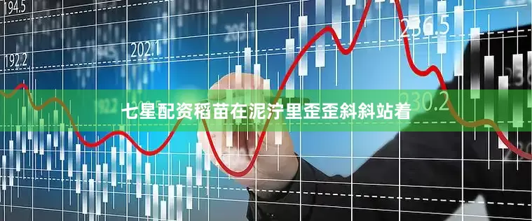 七星配资稻苗在泥泞里歪歪斜斜站着