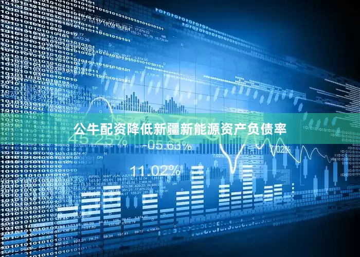 公牛配资降低新疆新能源资产负债率