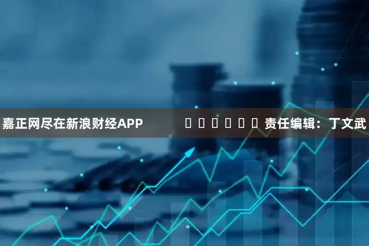 嘉正网尽在新浪财经APP            						责任编辑：丁文武