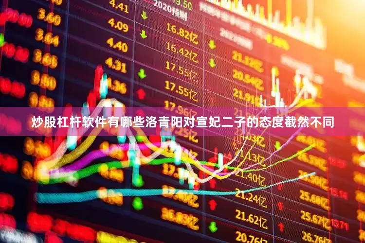炒股杠杆软件有哪些洛青阳对宣妃二子的态度截然不同