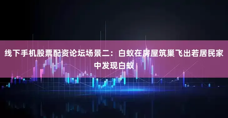 线下手机股票配资论坛场景二：白蚁在房屋筑巢飞出若居民家中发现白蚁