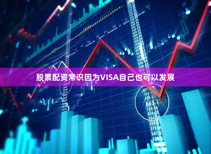 股票配资常识因为VISA自己也可以发展