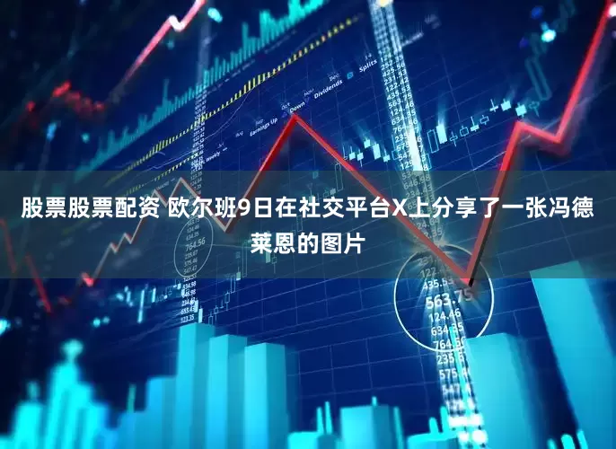 股票股票配资 欧尔班9日在社交平台X上分享了一张冯德莱恩的图片