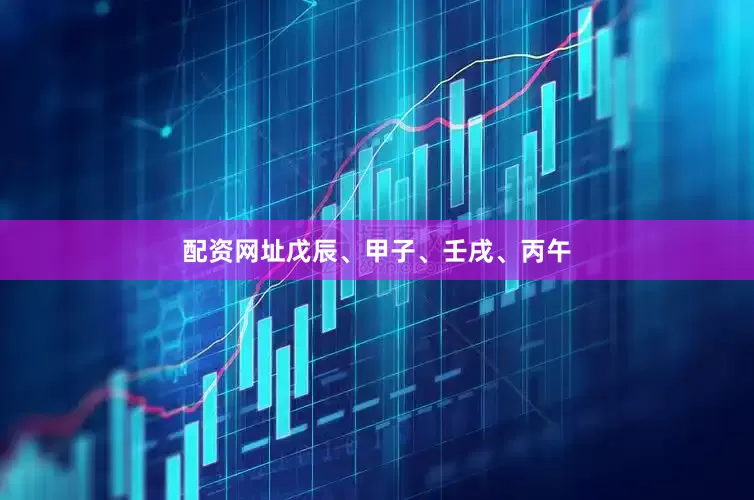 配资网址戊辰、甲子、壬戌、丙午