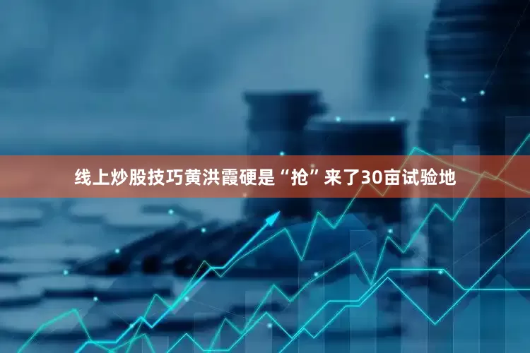线上炒股技巧黄洪霞硬是“抢”来了30亩试验地