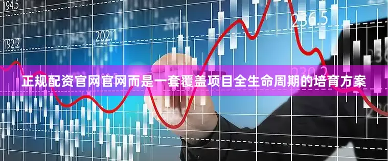 正规配资官网官网而是一套覆盖项目全生命周期的培育方案